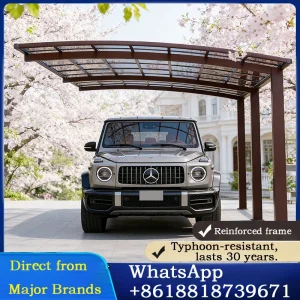 Auto-Garagenüberdachung für Auto